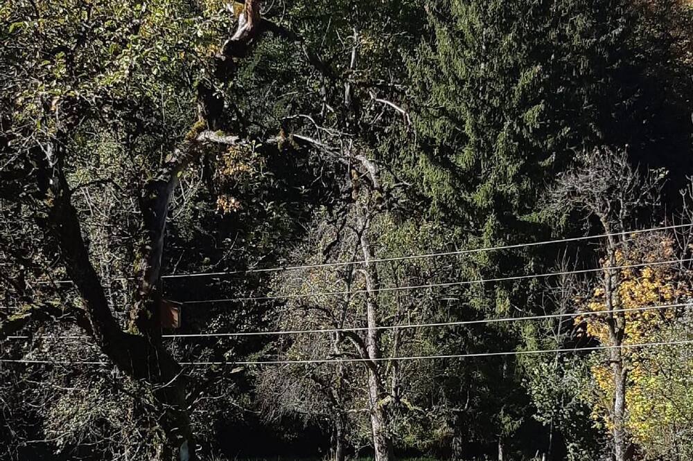 Photo of Others in Kuchl