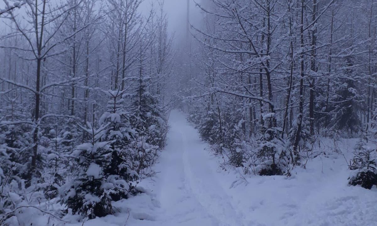 Photo of Outdoor in Goldegg