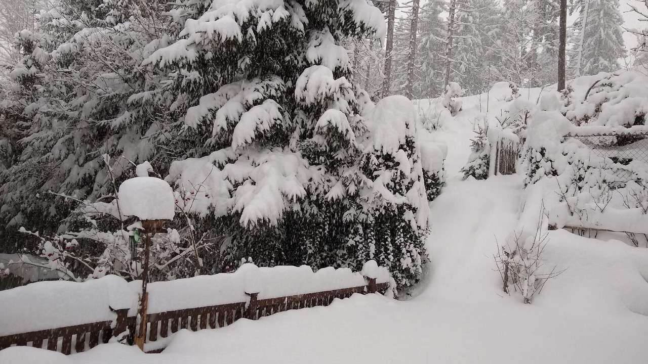 Photo of Outdoor in Goldegg