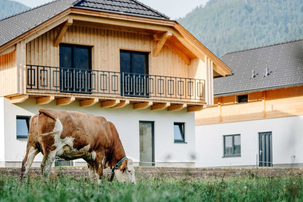 Photo of Outdoor in Jenig