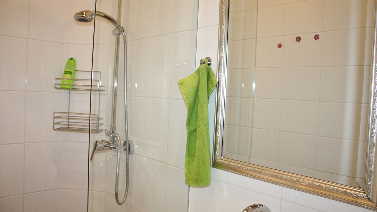 Photo of Bathroom in Landstrasse
