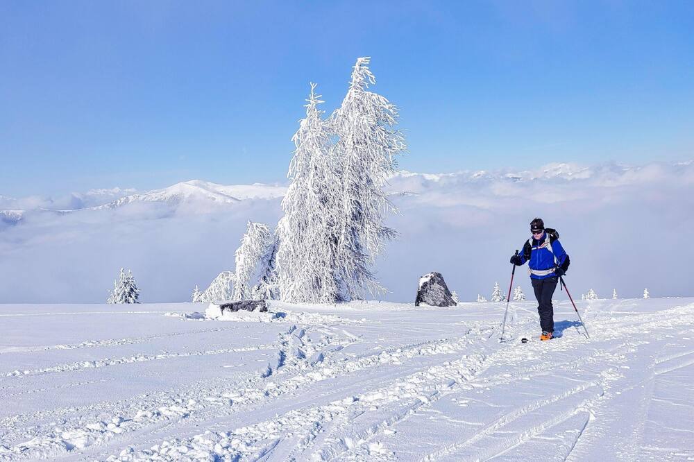 Photo of Others in Kanzelhohe