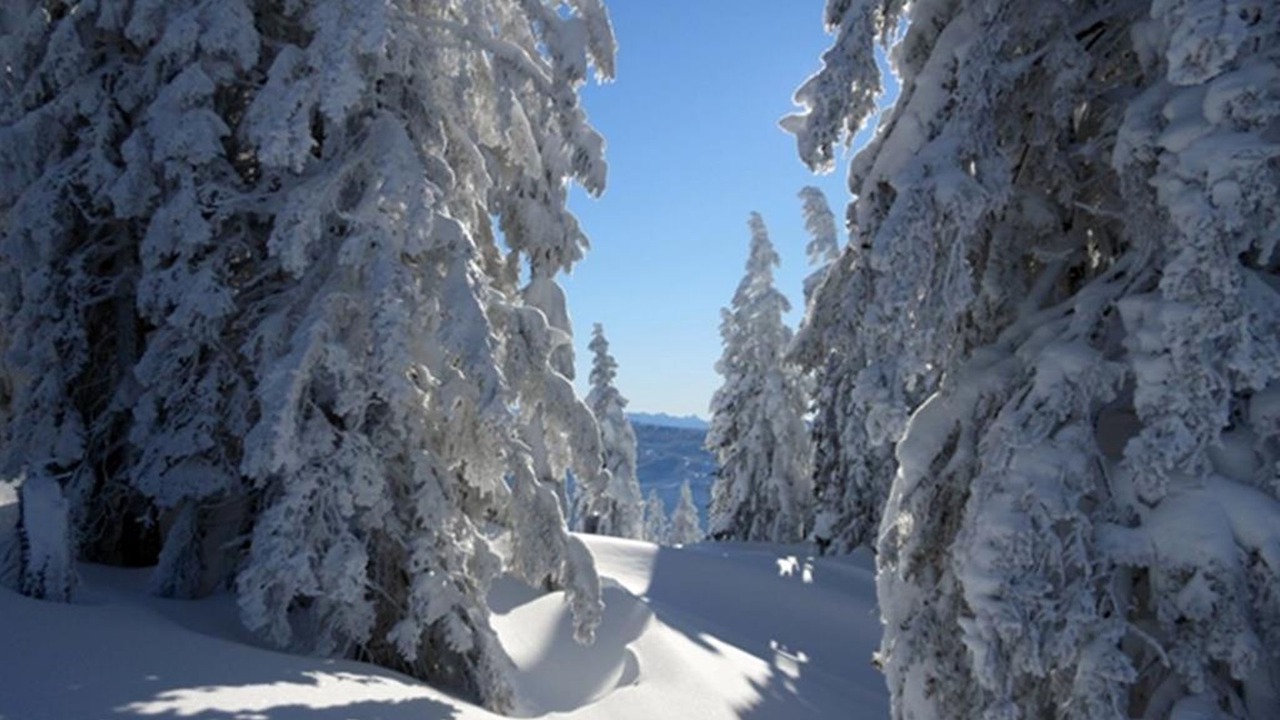 Photo of Outdoor in Donnersbachwald