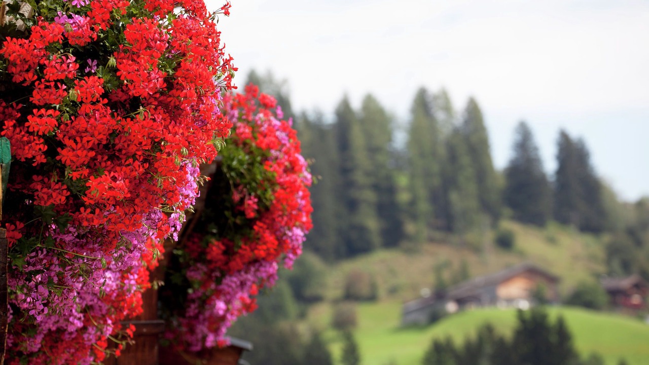 Photo of Outdoor in Niedernsill