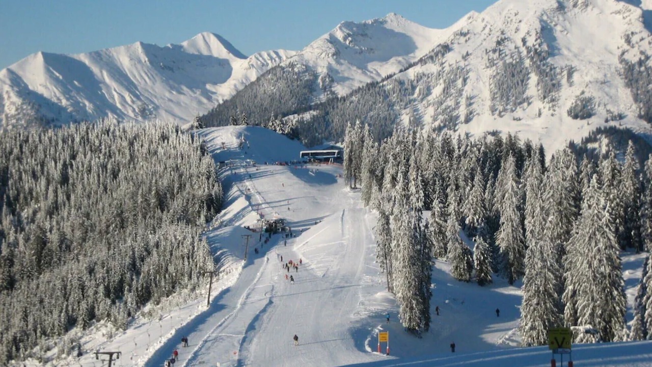 Photo of Others in Russbach am Pass Gschuett
