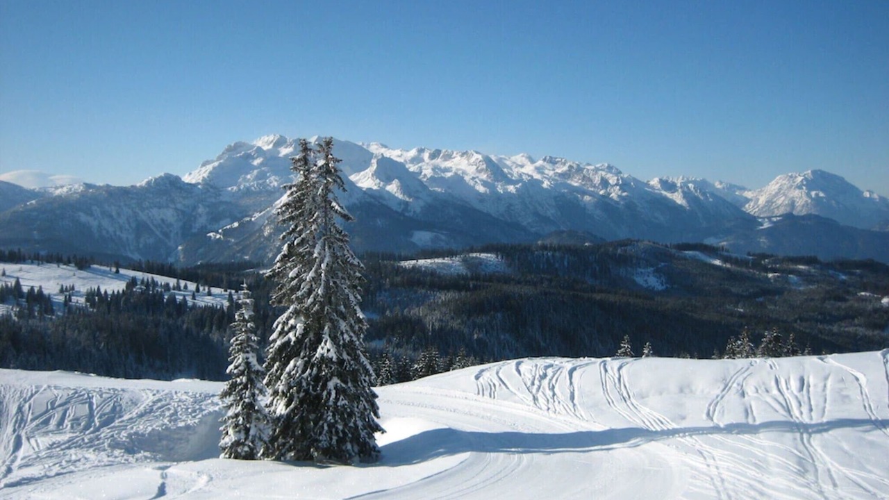 Photo of Others in Russbach am Pass Gschuett