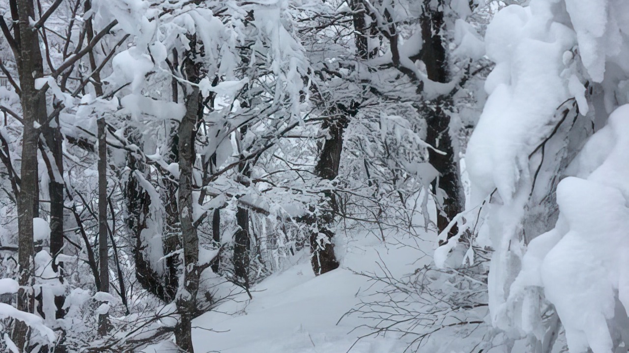 Photo of Others in Krakauhintermuehlen
