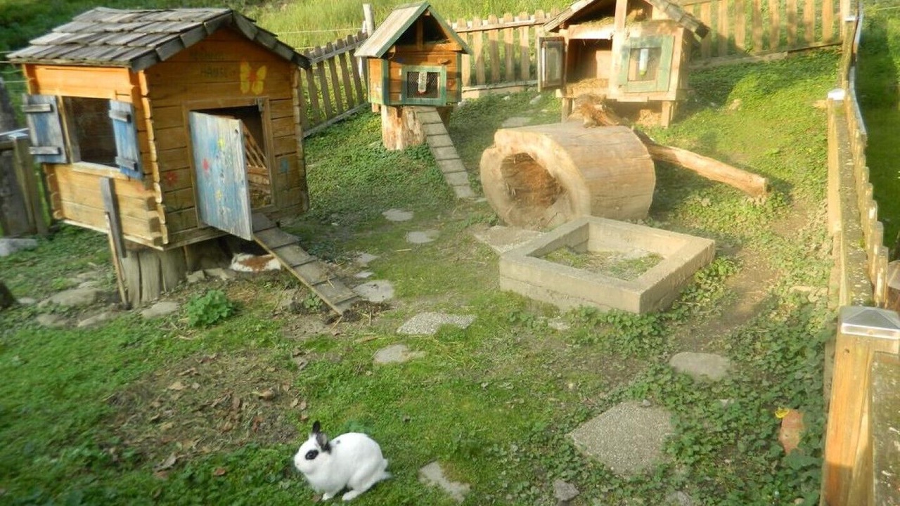 Photo of Outdoor in Russbach am Pass Gschuett