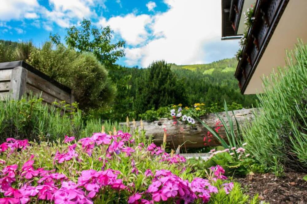 Photo of Outdoor in Donnersbachwald