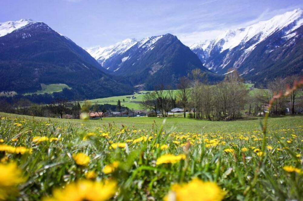 Photo of Others in Schonbach