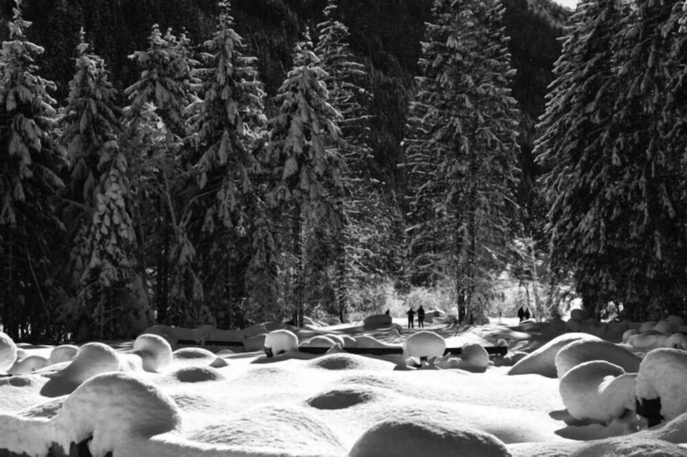Photo of Others in Fulpmes