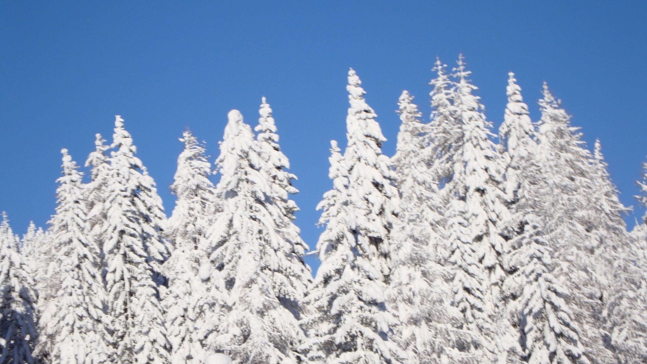 Photo of Others in Sonnenalpe Nassfeld