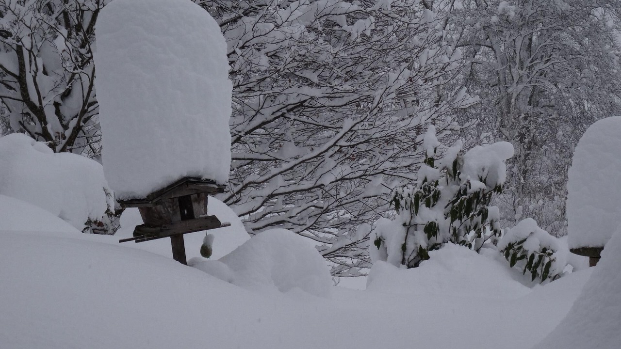 Photo of Outdoor in Eben im Pongau