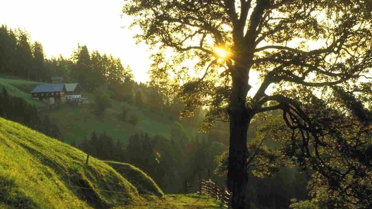 Photo of Outdoor in Eben im Pongau
