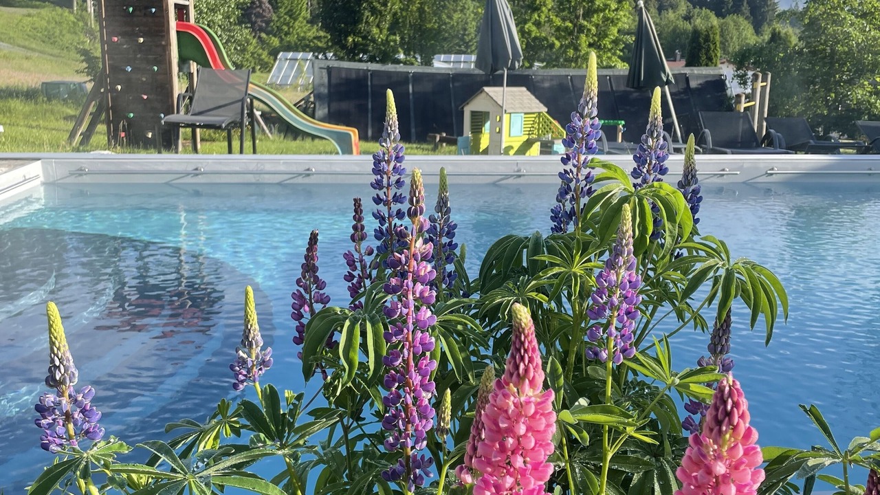 Photo of Outdoor in Oberndorf in Tirol
