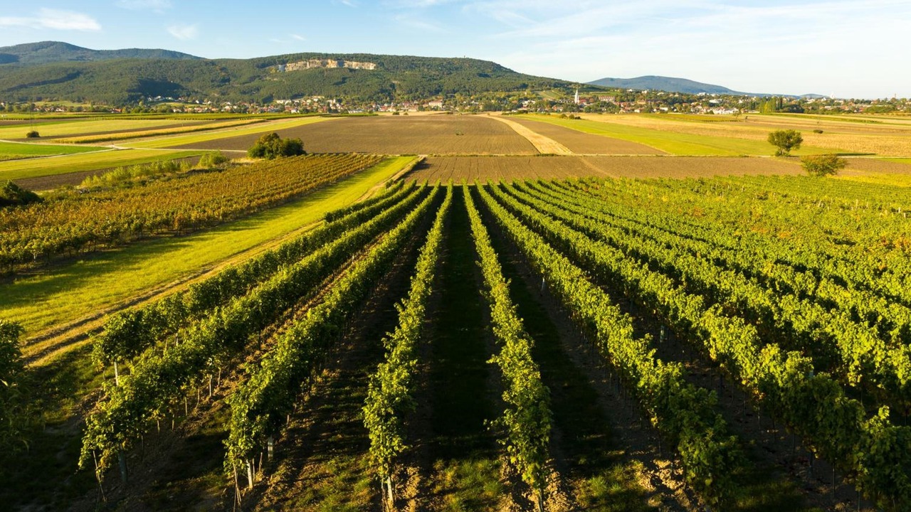 Photo of Outdoor in Bad Voeslau