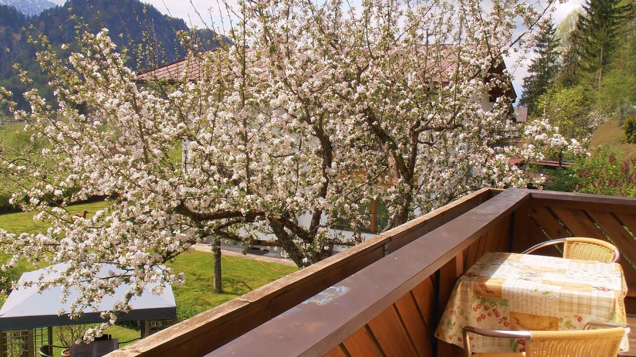Photo of Outdoor in Walchsee
