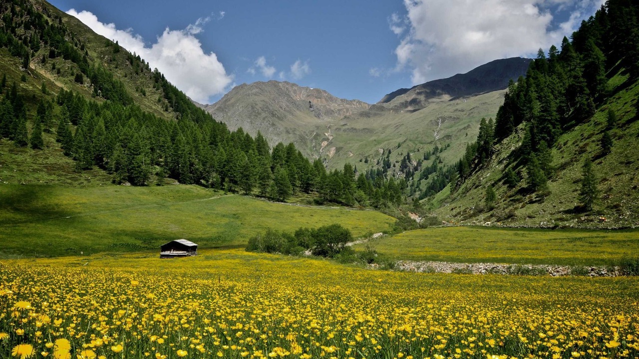 Photo of Others in Ausservillgraten