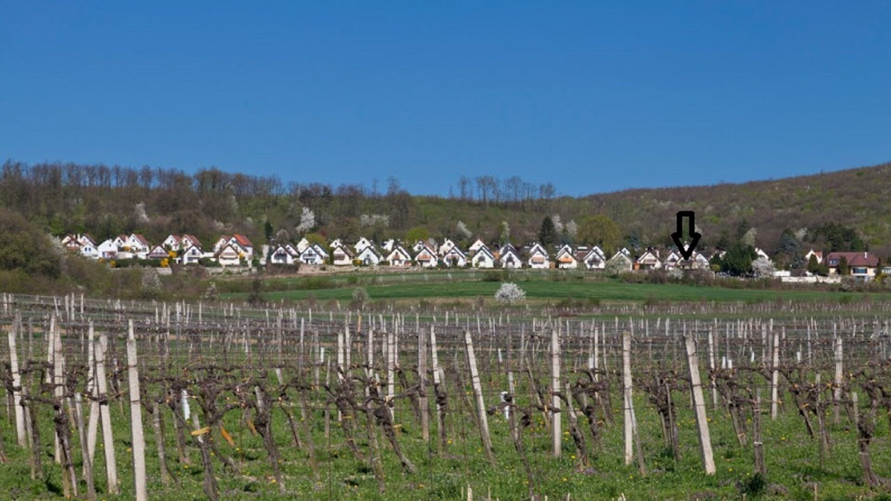 Photo of Outdoor in Donnerskirchen