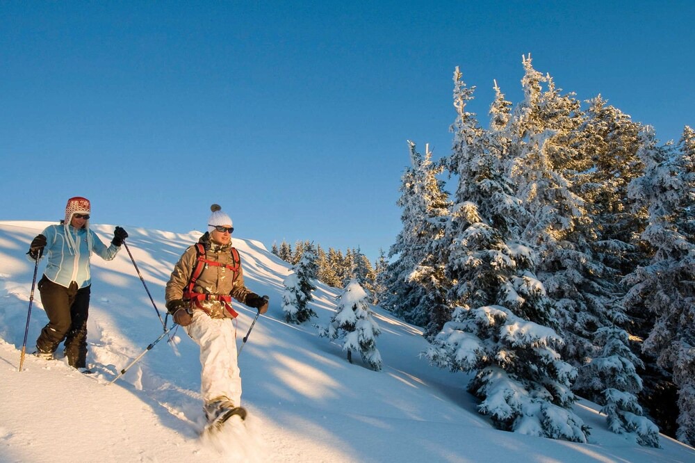 Photo of Others in Inneralpbach