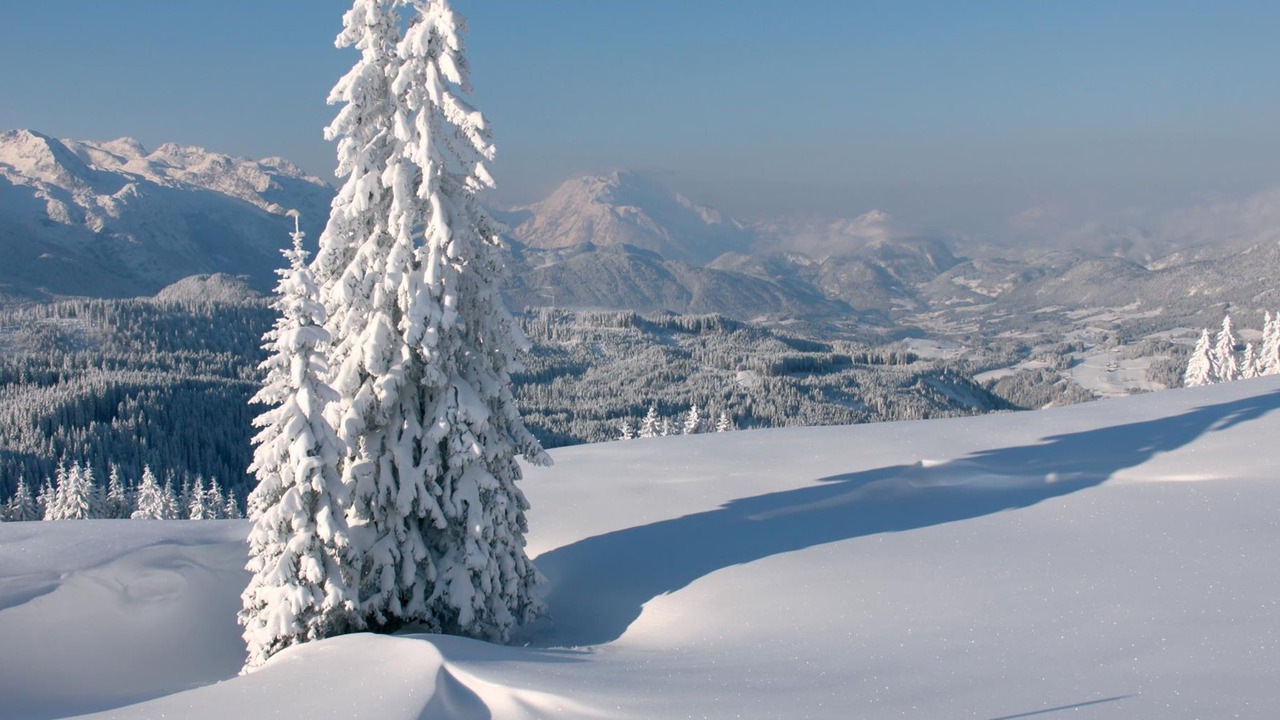 Photo of Others in Russbach am Pass Gschuett