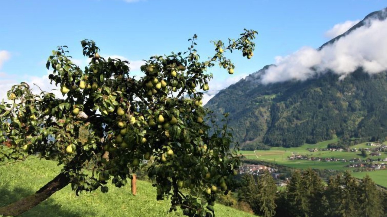 Photo of Outdoor in Emberg