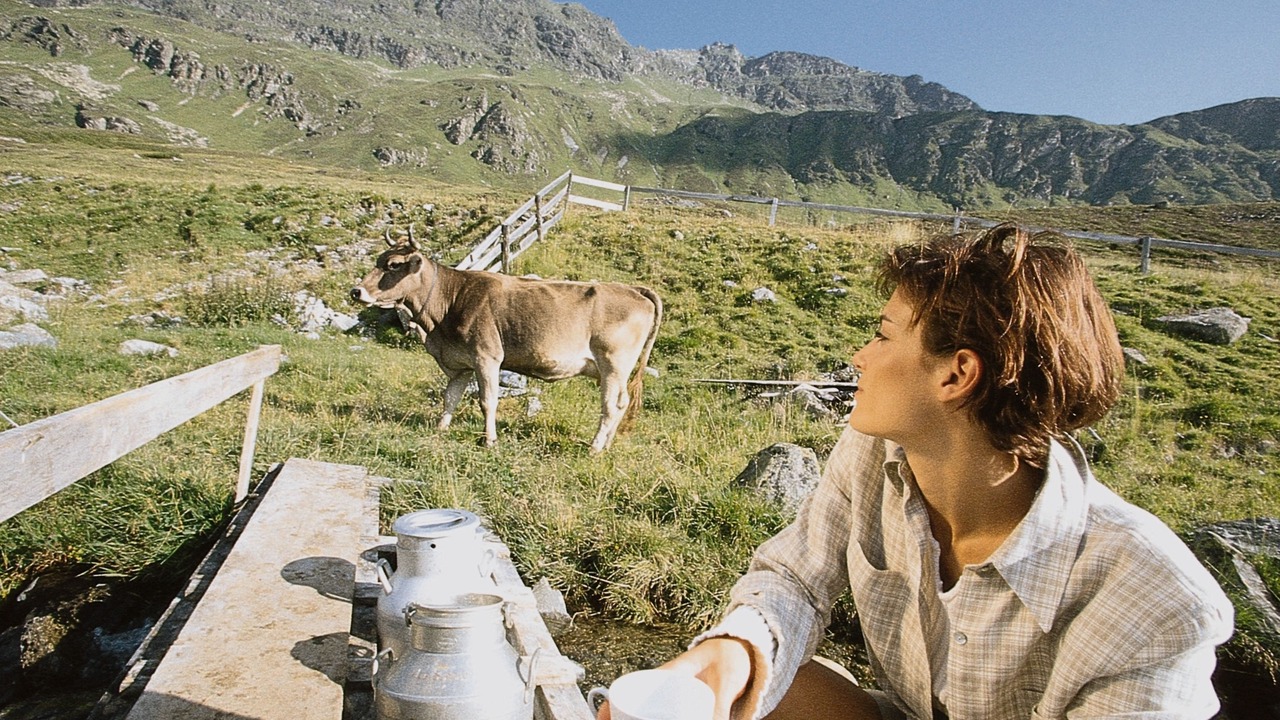 Photo of Outdoor in Dalaas