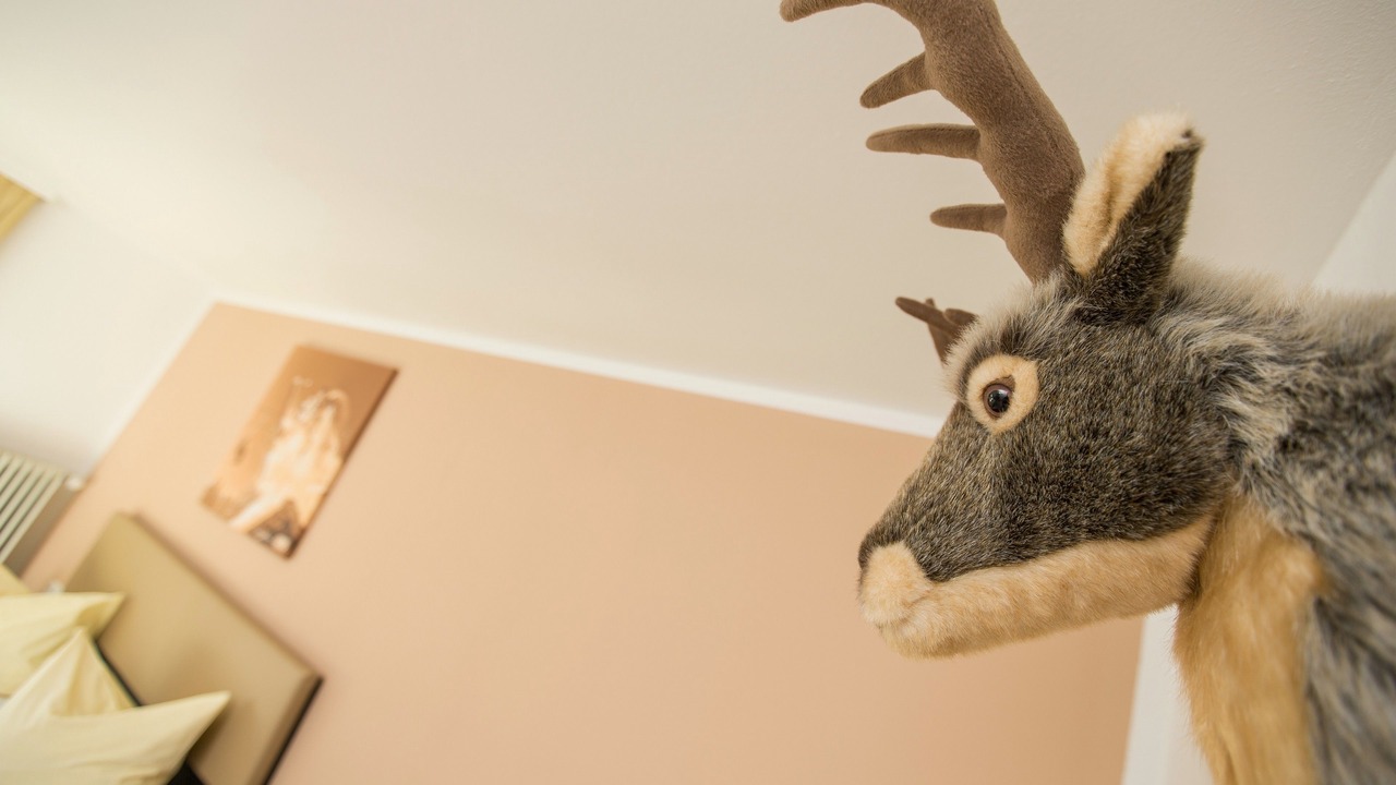 Photo of Bedroom in Dalaas