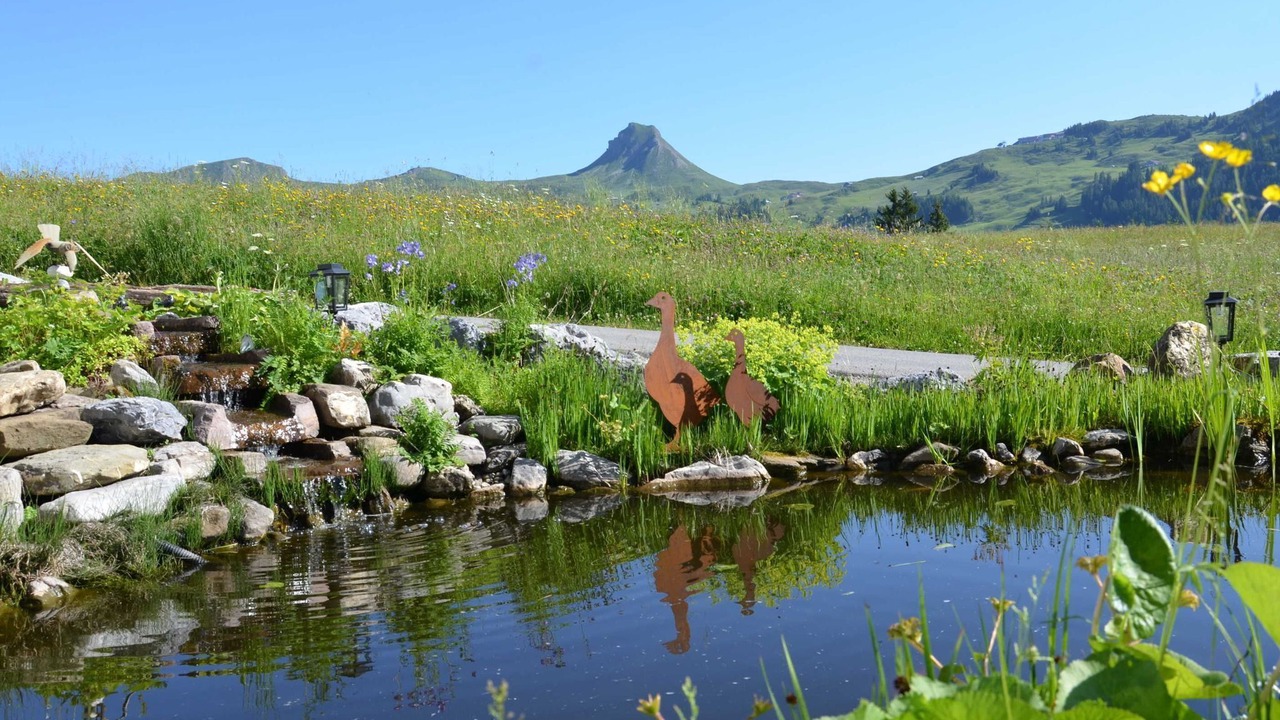Photo of Outdoor in Damuels