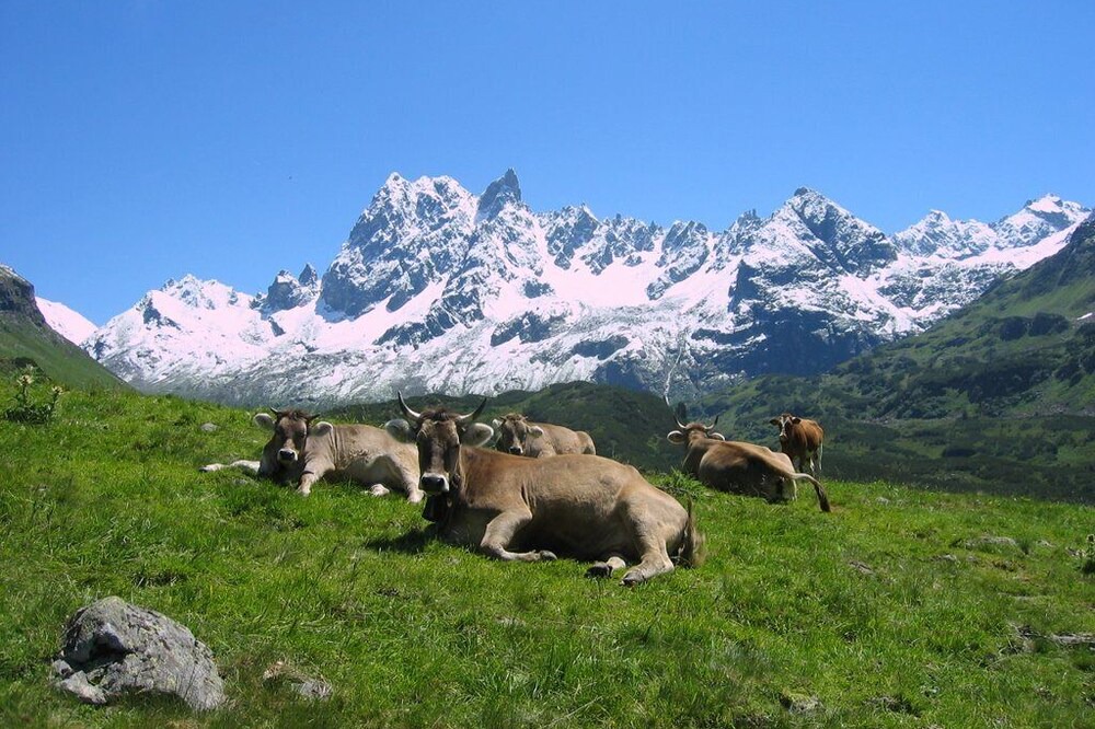Photo of Outdoor in Silbertal