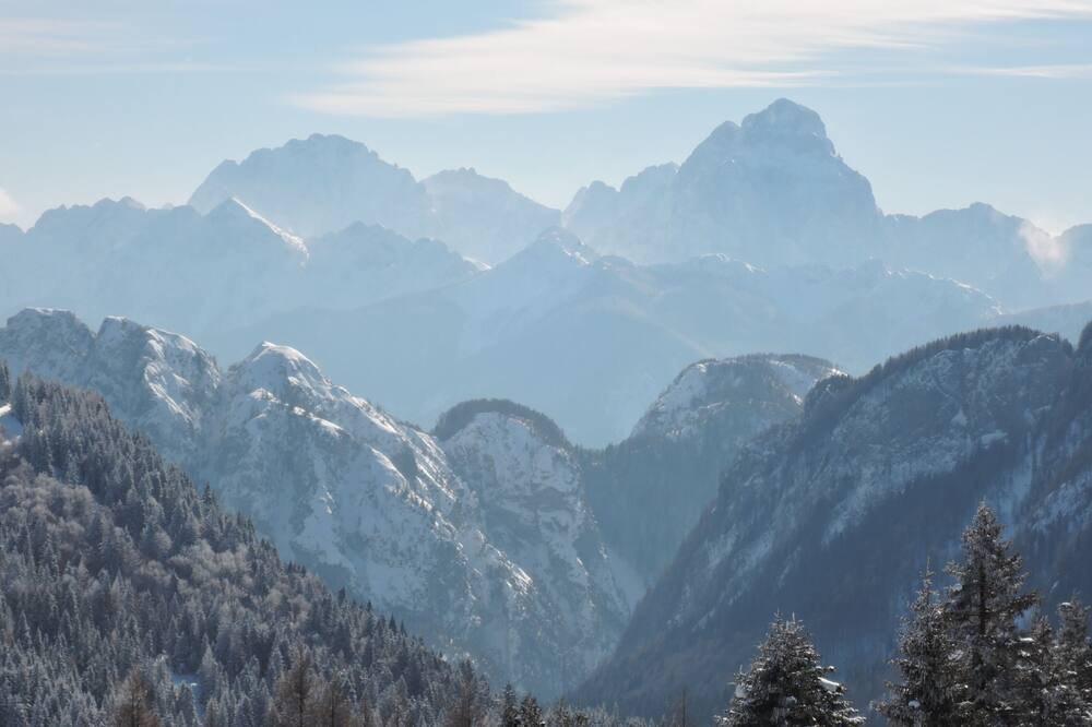Photo of Others in Tropolach