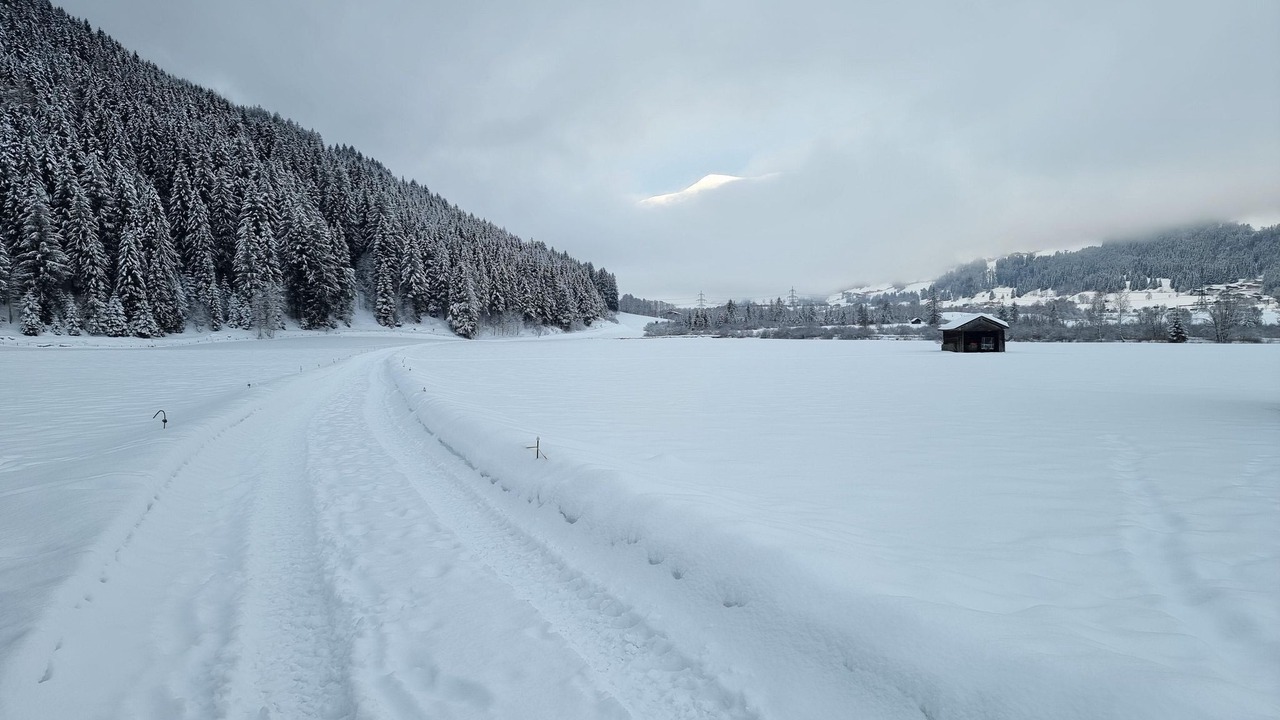 Photo of Others in Hollersbach im Pinzgau