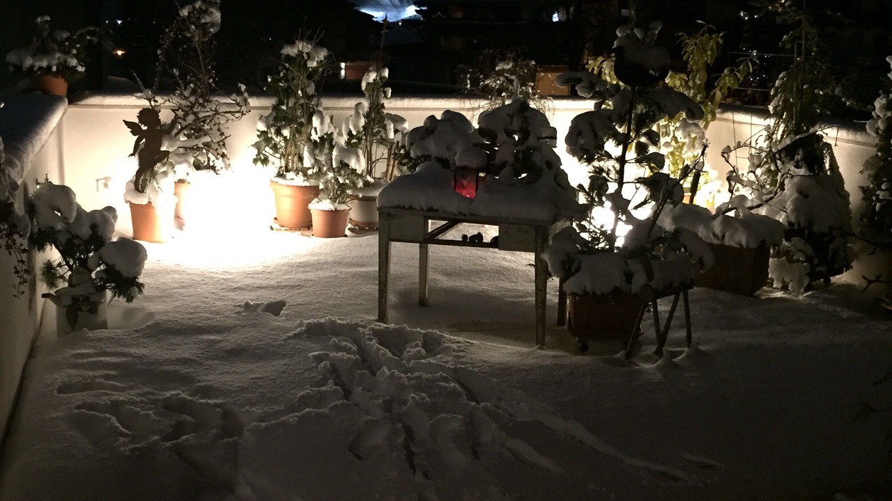 Photo of Outdoor in Stumm