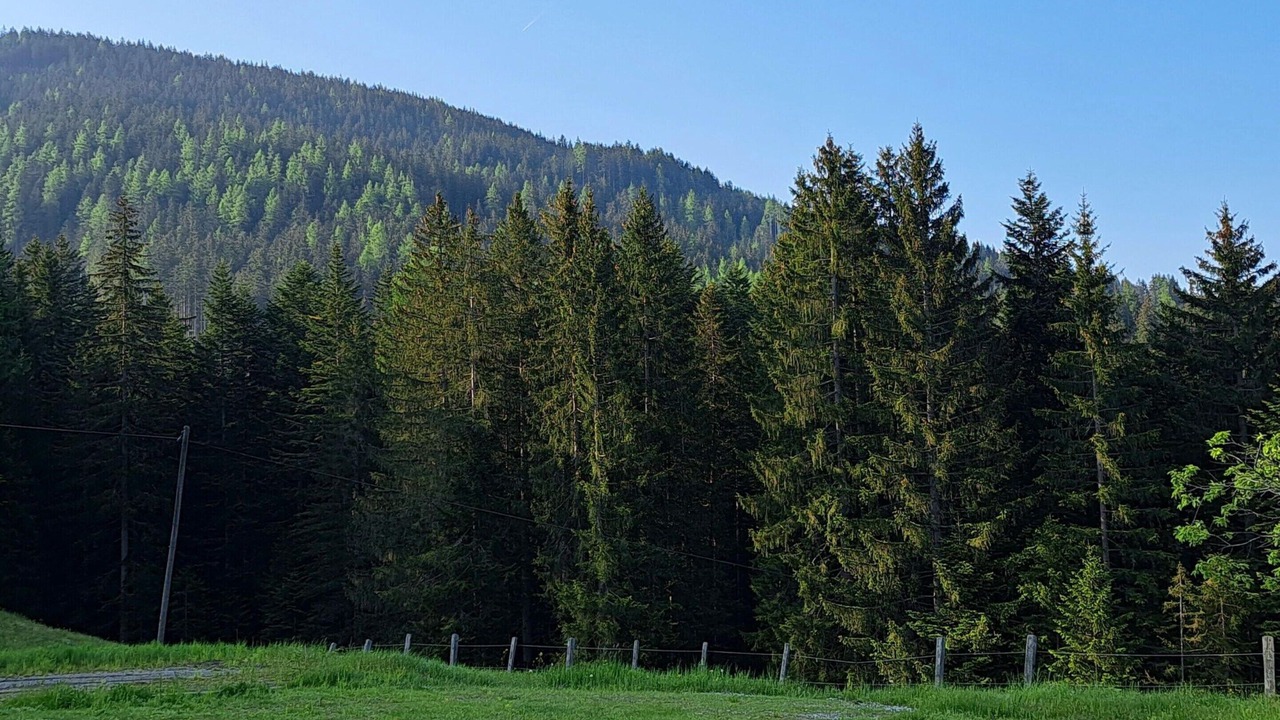 Photo of Others in Sankt Martin am Tennengebirge