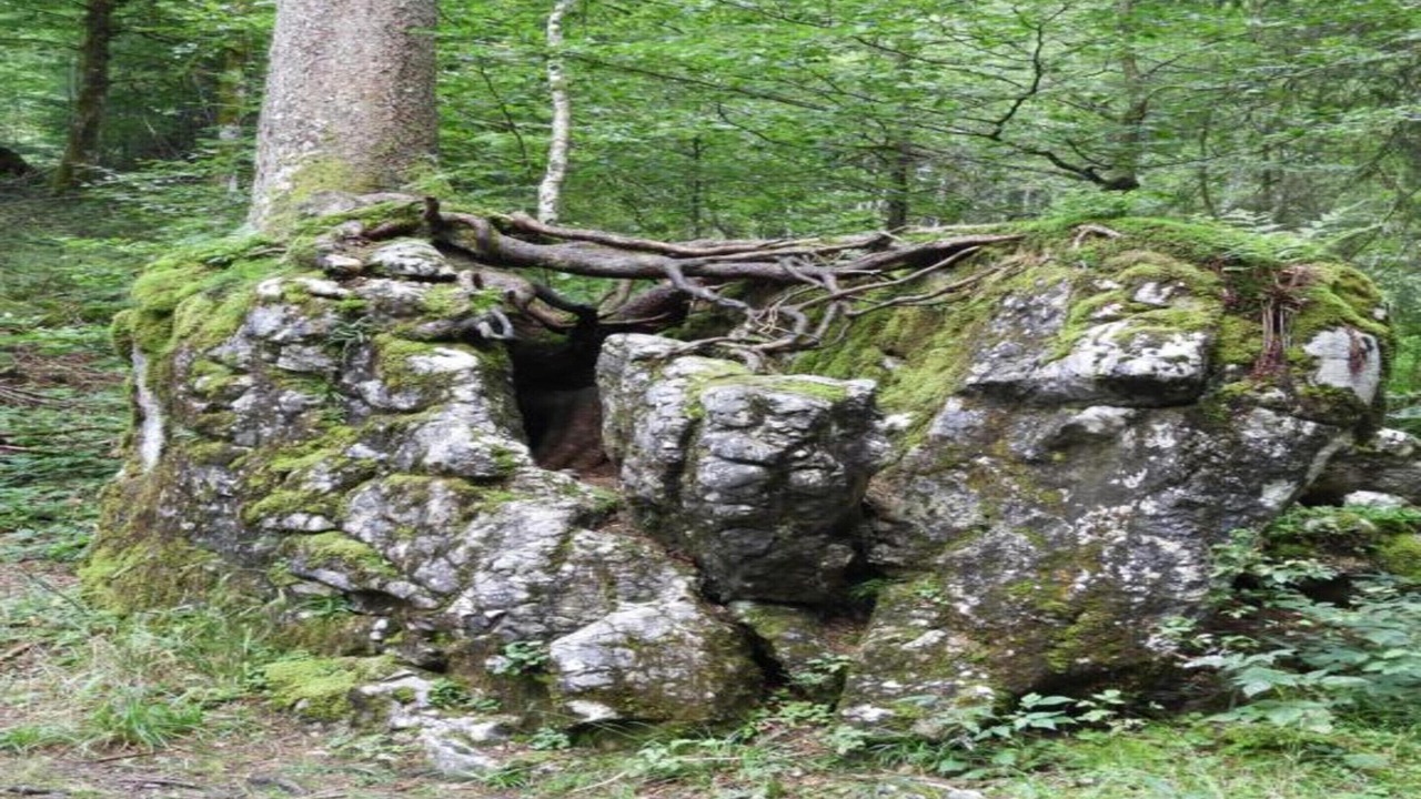 Photo of Others in Sibratsgfaell
