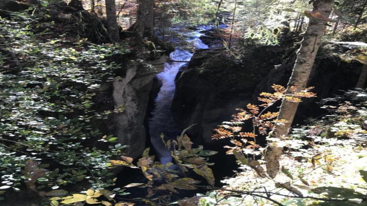 Photo of Others in Sibratsgfaell