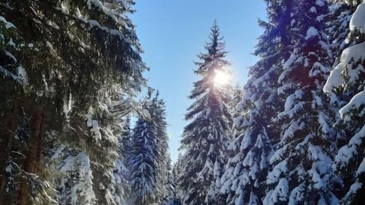 Photo of Outdoor in Hohentauern