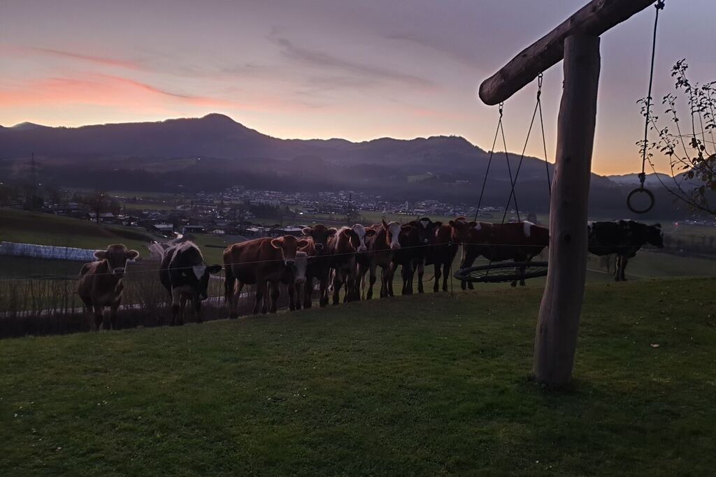 Photo of Outdoor in Oberndorf in Tirol