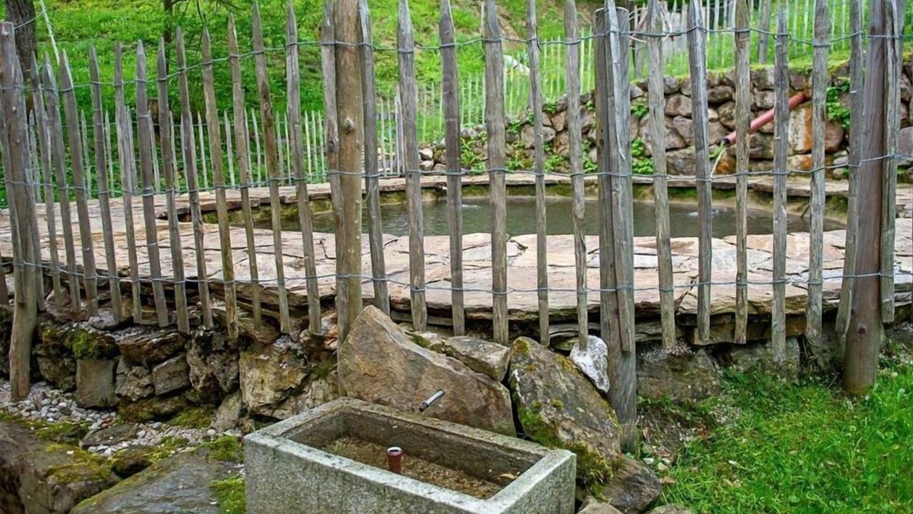 Photo of Outdoor in Neukirchen bei Altmunster