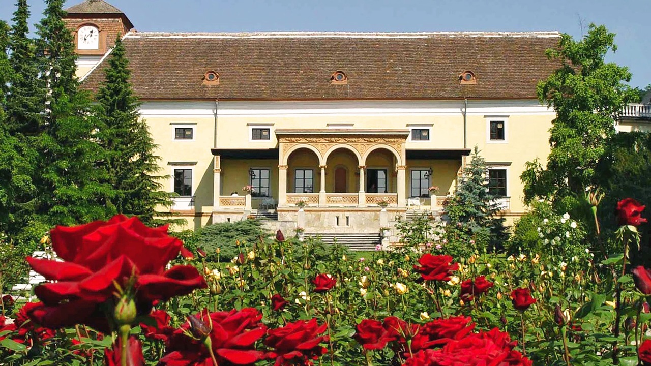 Photo of Outdoor in Baden