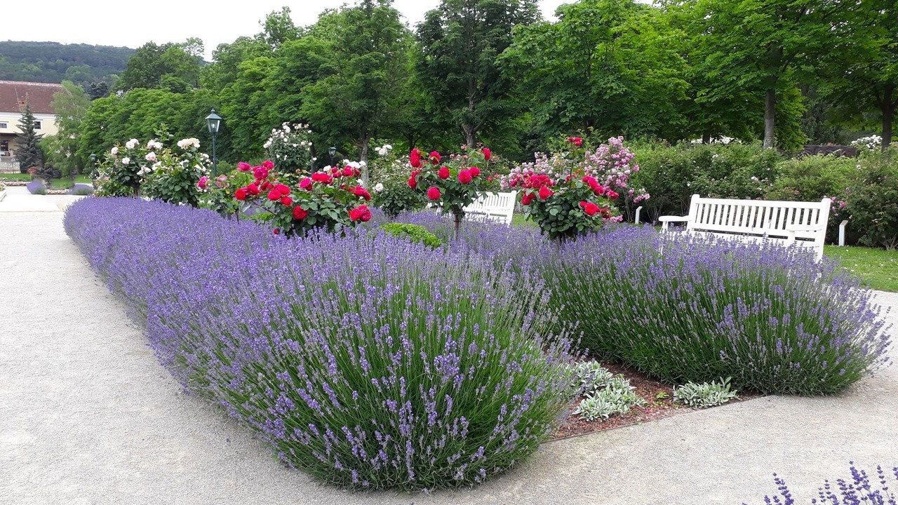 Photo of Outdoor in Baden
