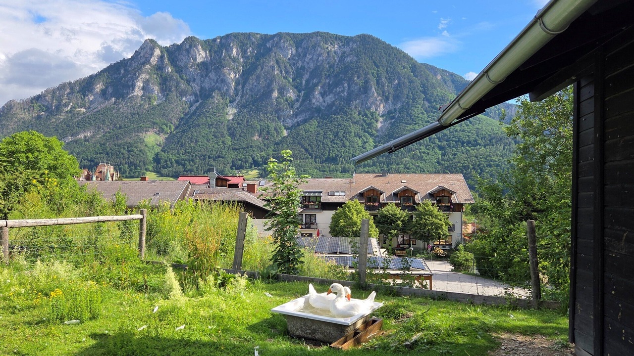Photo of Others in Reichenau an der Rax