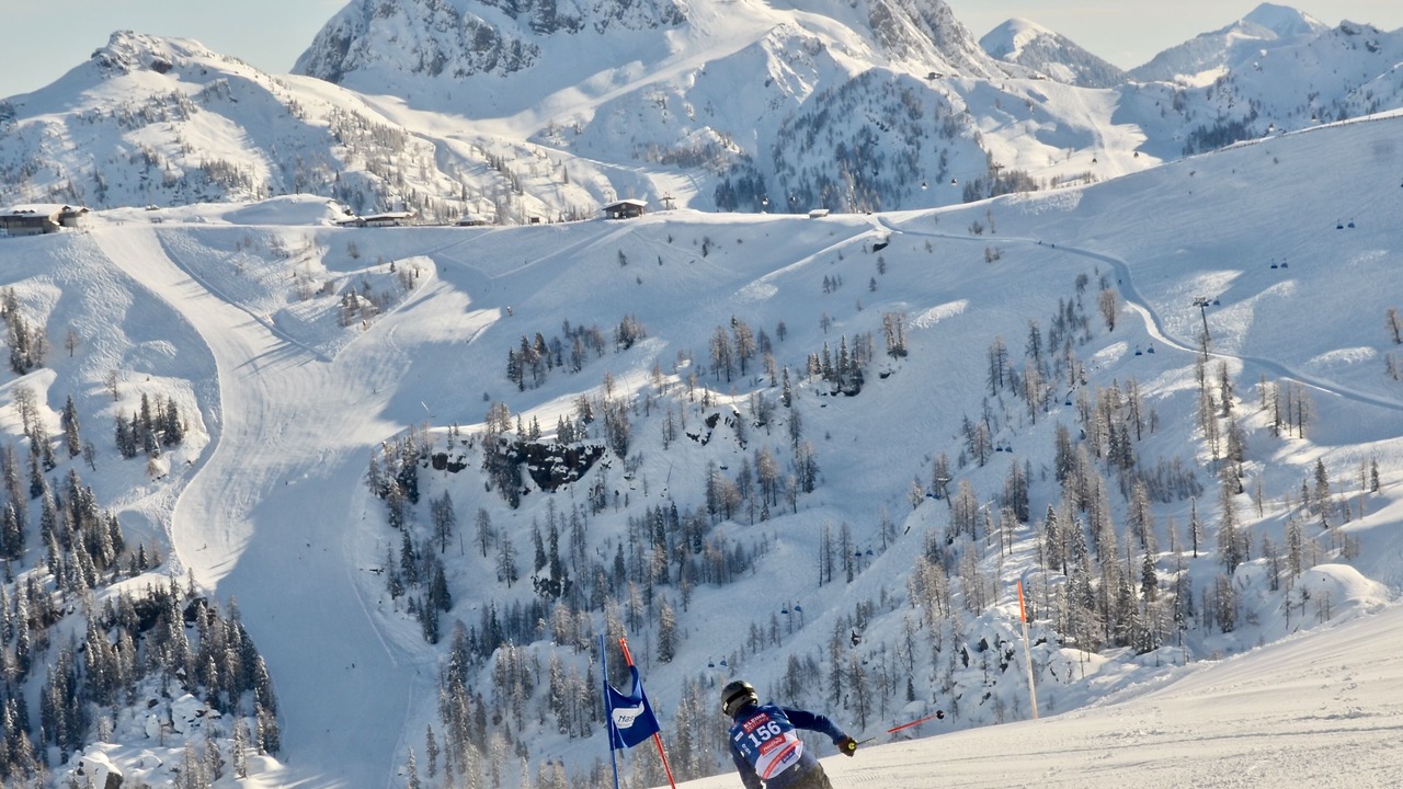 Photo of Others in Tropolach