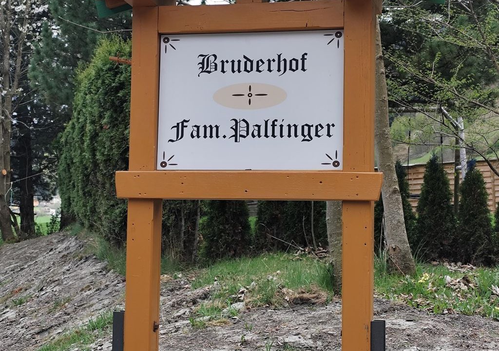 Photo of Others in Rauris