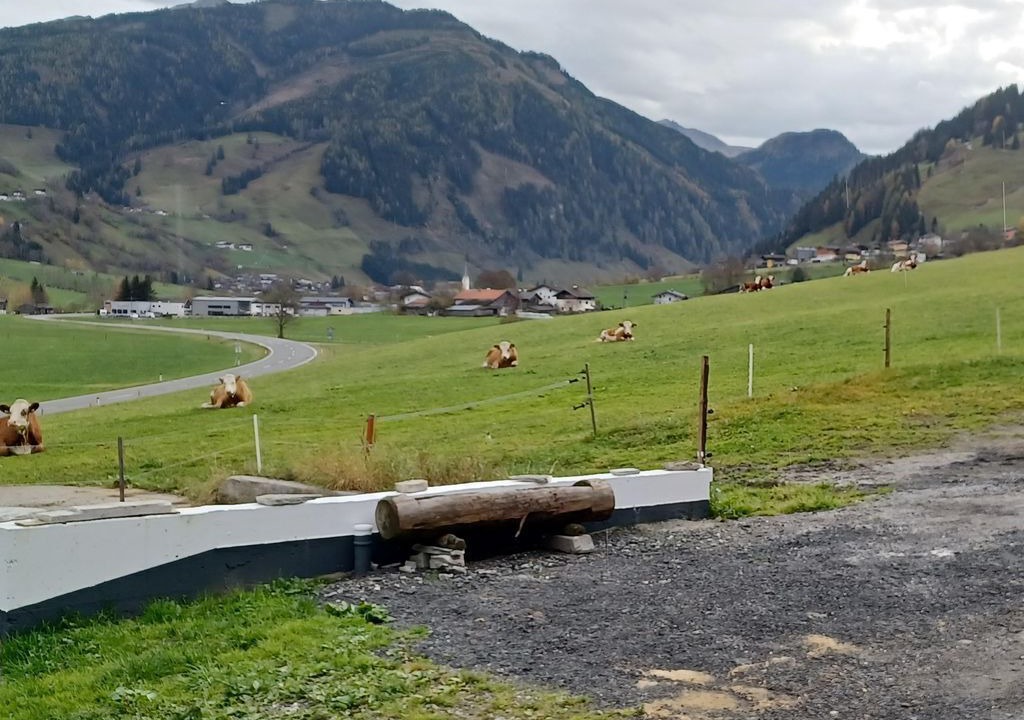 Photo of Others in Rauris