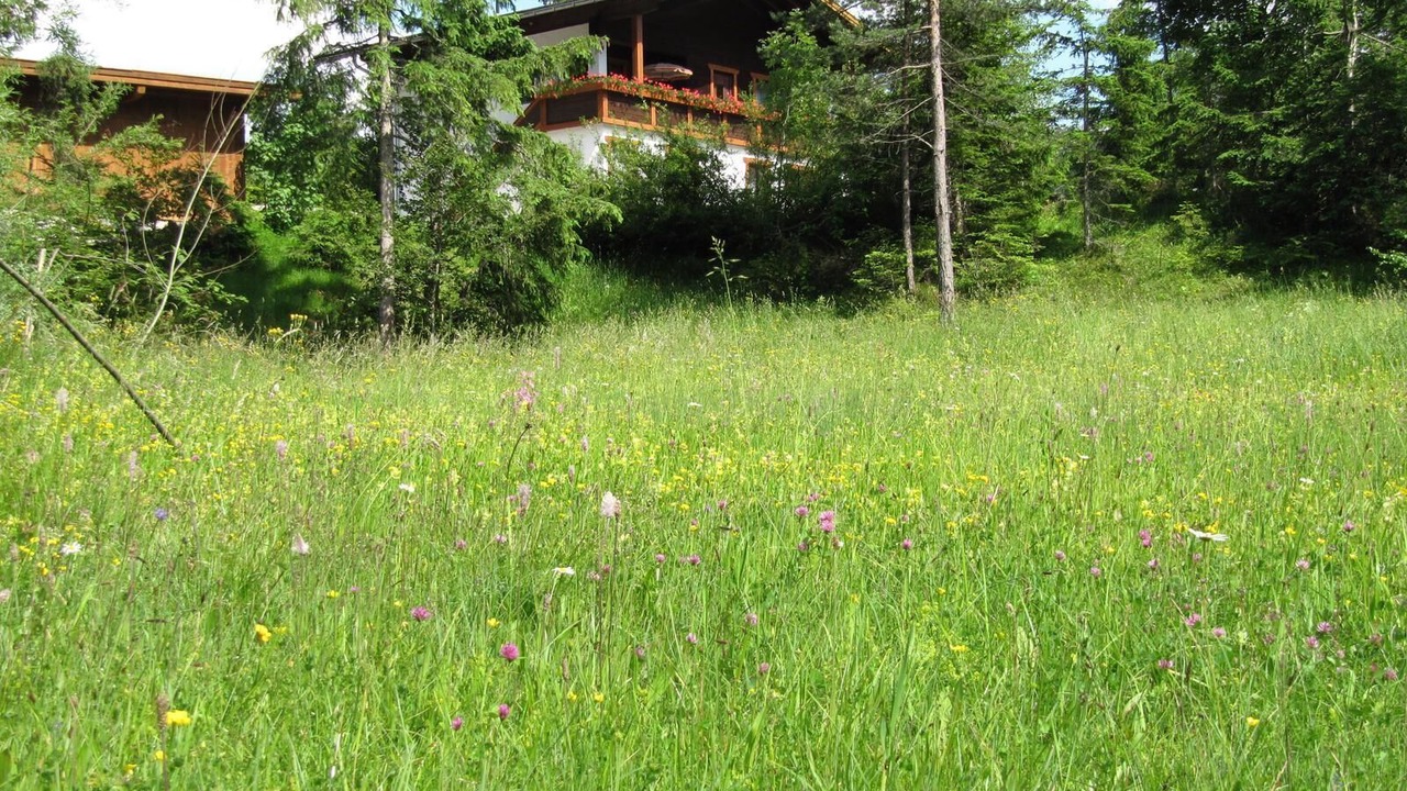 Photo of Outdoor in Weidach