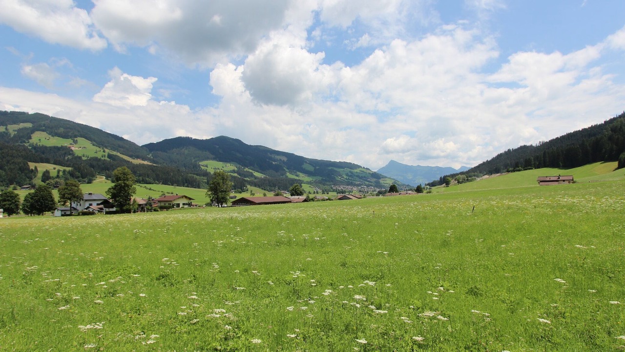 Photo of Others in Niederndorferberg