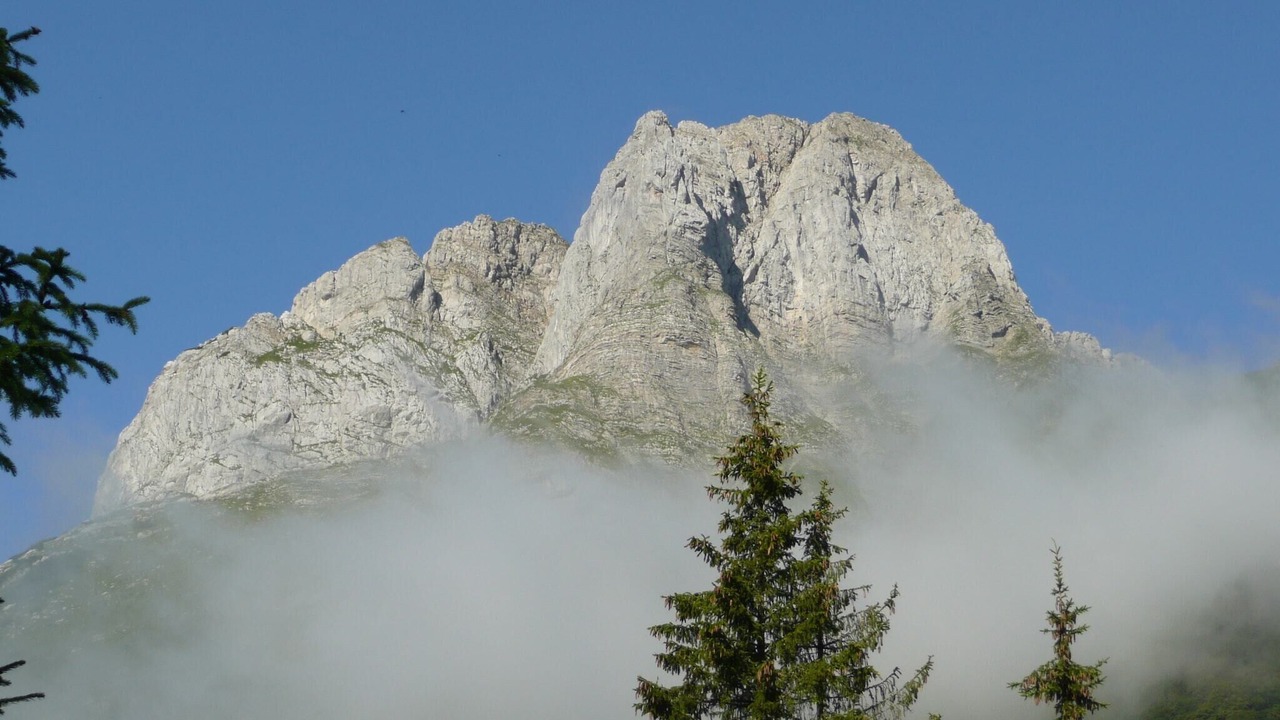 Photo of Others in Tropolach