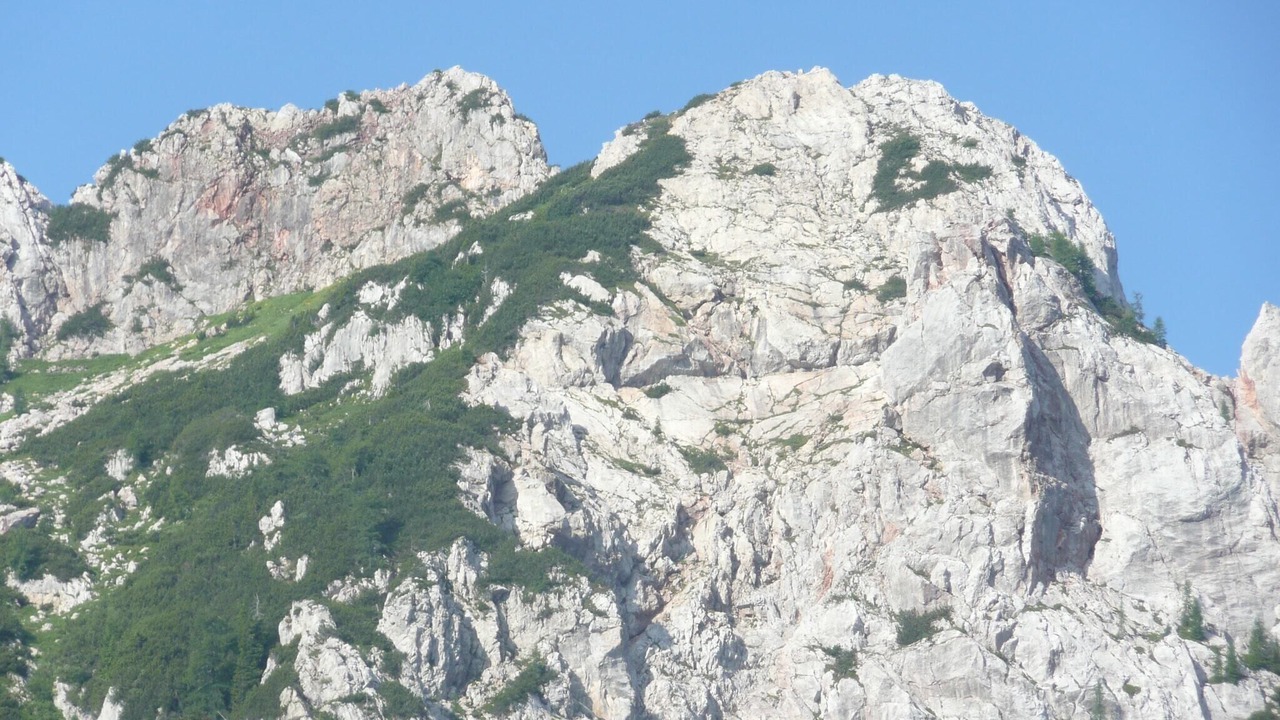 Photo of Others in Tropolach