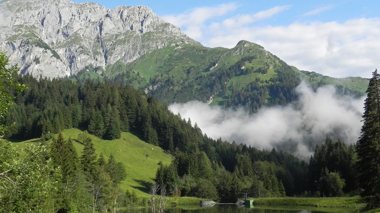 Photo of Others in Tropolach